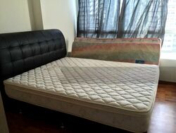 Blk 515D The Premiere @ Tampines (Tampines), HDB 5 Rooms #617541601